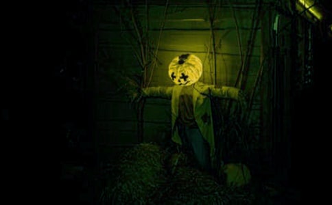 (�])���ݚv�U(xi��n)ӛ����