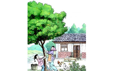 [��(y��u)]�����x���