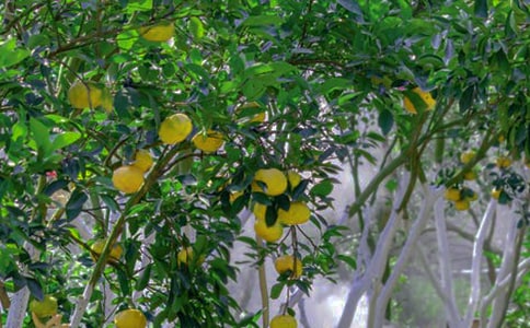 �P(gu��n)�ڹ��@������