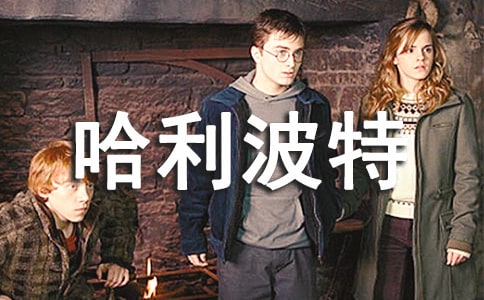 ���������x���(15ƪ)