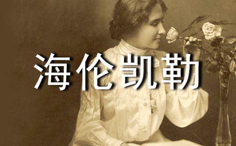 �����P���x���