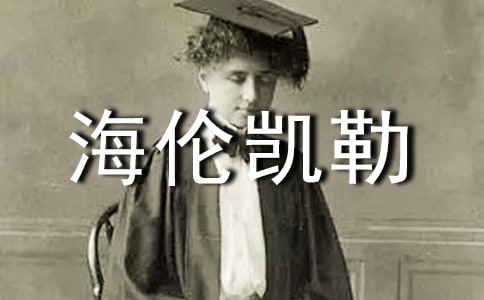 �����P���x���(15ƪ)