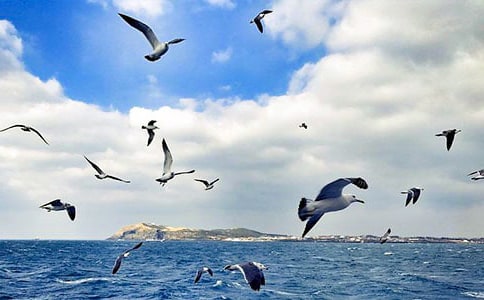 ���t�̼{ɭ�x���15ƪ