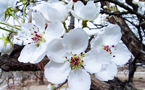 ���~���ĺÿ�����