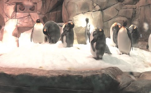 ���󹫈@�^�������