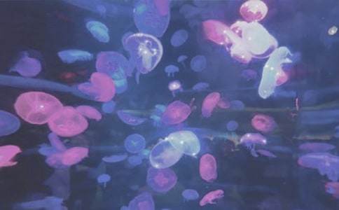 ��ۺ��󹫈@��ӛ���꼉(j��)����