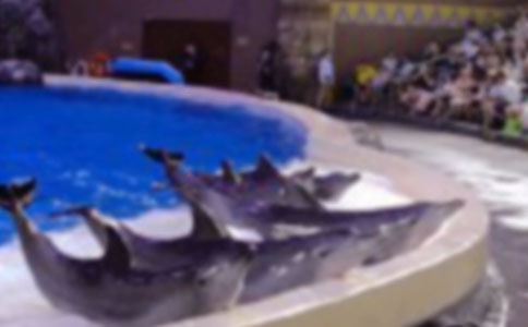 �ɐ۵ĺ�������