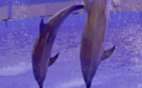 �{(l��n)ɫ�����u�x���