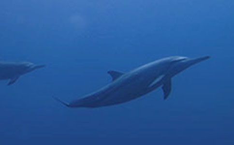 ��������Č�(sh��)�á�15ƪ��