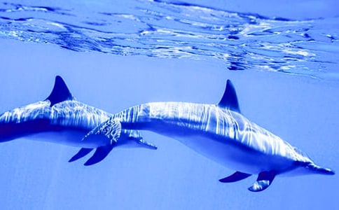 ��B��������