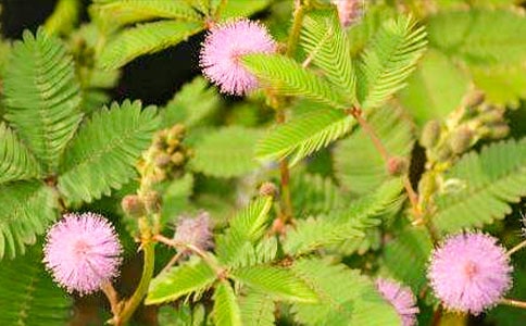 [��(y��u)]���߲�����