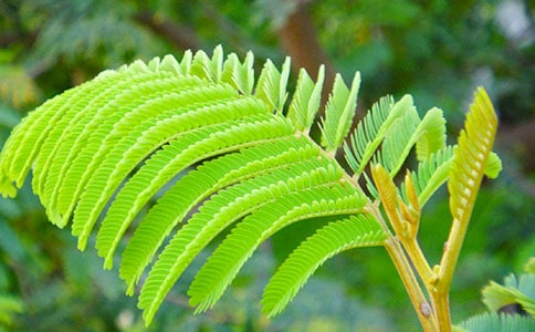 �����ϣ����߲��^����ӛ15ƪ