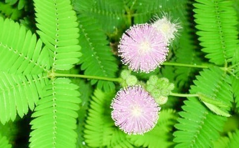 (��(y��u))���߲�����