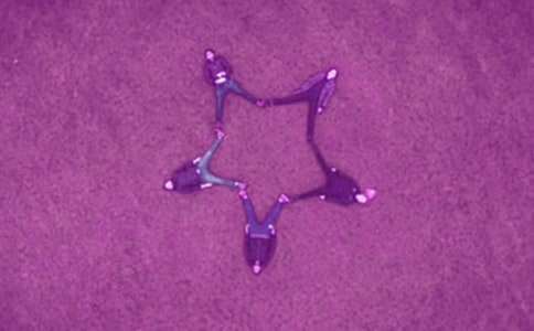 �o�H����ѵ���