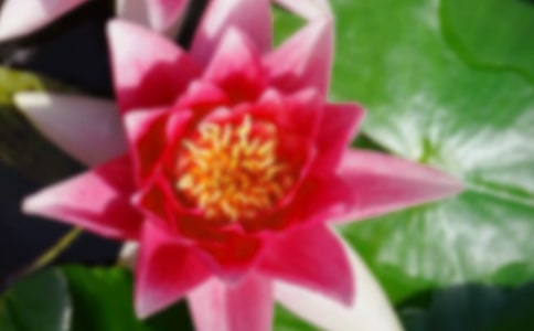 ԁٝ�ɻ���Ԋ��