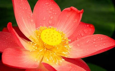 ٝ���ɻ���Ԋ��15ƪ