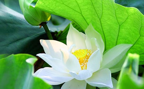 �P(gu��n)������ɻ���Ԋ(sh��)��