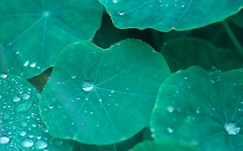 ���~������