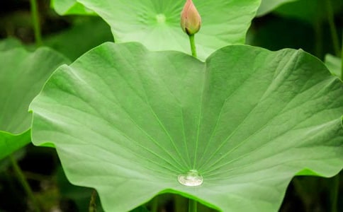 ���~������15ƪ(����)