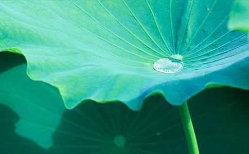 ��(xi��)���~������