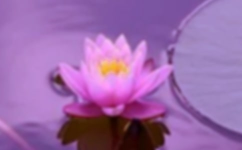 世界問(wèn)候日“一聲問(wèn)候,和諧萬(wàn)家"班隊(duì)活動(dòng)方案
