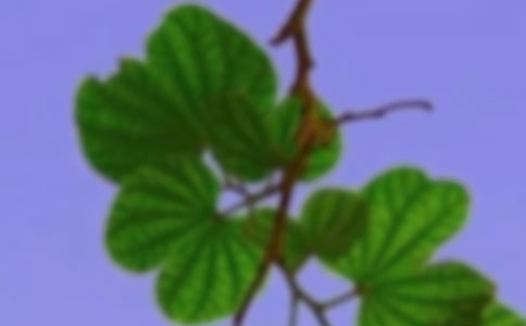 杏林子:《和諧人生》