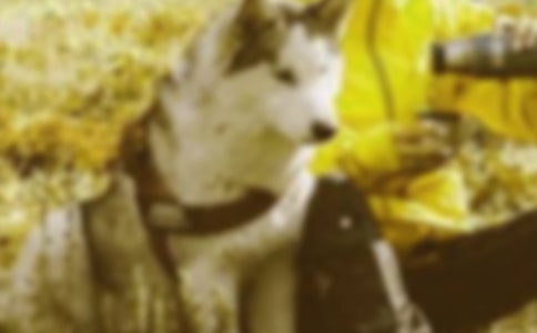 �_���ɾͺ��C