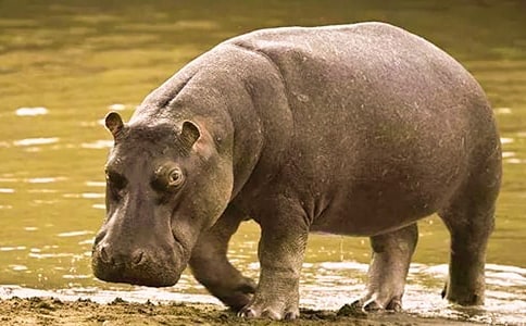 ���R�����ĽY(ji��)���Z(y��)�Ĺ���