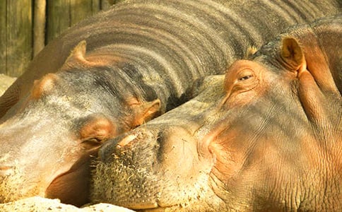 ���R�����Ą�(chu��ng)��С��