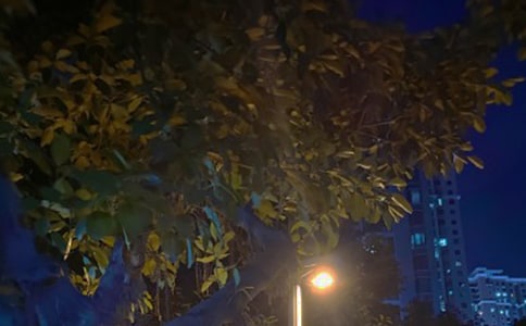 ͯȤ��СС��ֻ�����]���֛]���� ���쎧����̎������ҹͣ�ڴ���ǰ (��һ��)