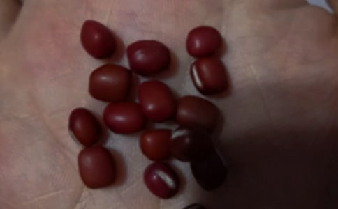 �t��޲�ל��ܽ����Ⱥ�����