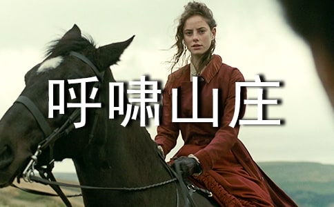 《呼嘯山莊》讀書筆記范文(精選25篇)