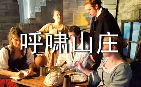 【優(yōu)】呼嘯山莊讀后感