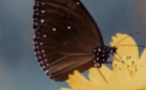 �а����g(sh��)�����ĺ����̰�