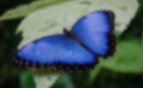 �ϻ��Ժ���Ъ���Z(y��)�����