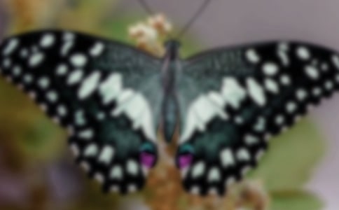 ׽�������D��Ԓ