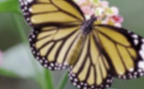 ����ͯԒ������300��