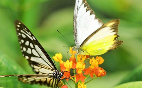 �����^����ӛ