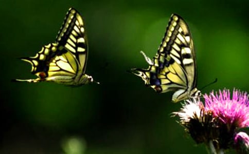 ׽�������D��Ԓ15ƪ(��)