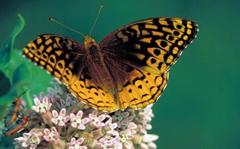 С�����g(sh��)���������̰�