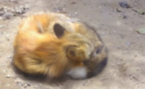 ����Z�Խ̰����f�ͺ�؂