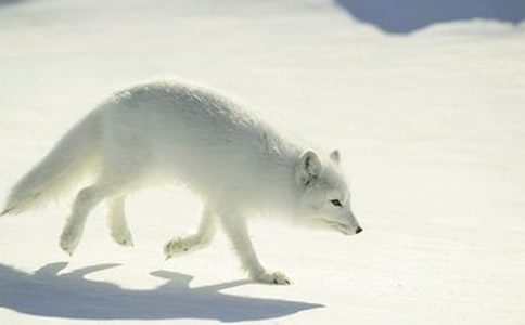 ���˲���ĺ�؂�ְ֡��x���15ƪ