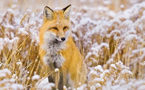 ���P(gu��n)��؂��Ъ���Z(y��)