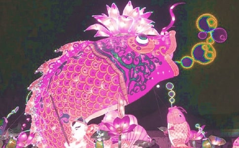 ���������ģ��R��14ƪ��