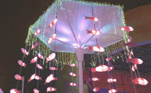 (��Ʒ)����������