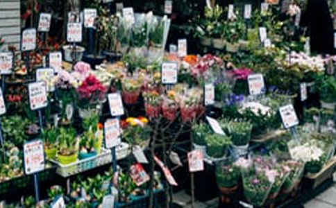 ���x���ꄓ(chu��ng)�I(y��)Ӌ(j��)����