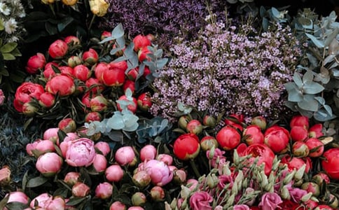 花店創(chuàng)意對(duì)聯(lián)