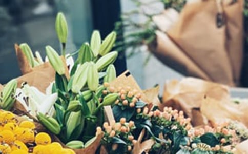 花店的創(chuàng)業(yè)計劃