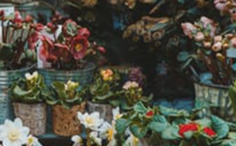 �_�O(sh��)����Ą�(chu��ng)�I(y��)Ӌ(j��)����