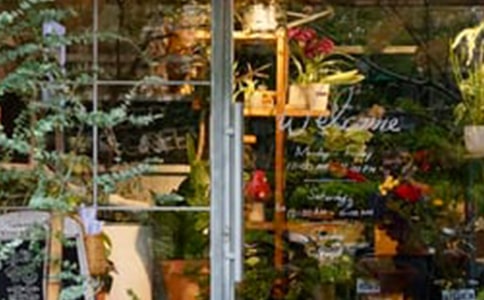 花店活動(dòng)方案